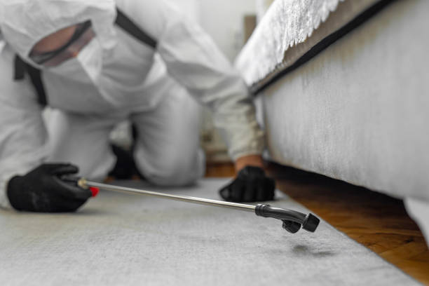 Professional Bed Bug Control technician working in Sharkey County County, MS